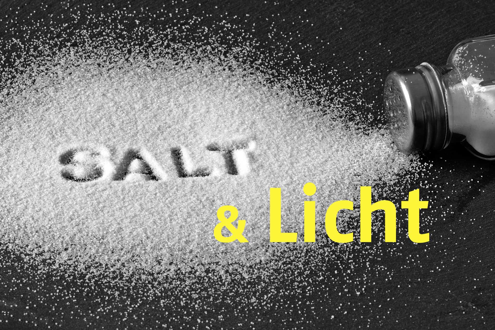Salz & Licht. Erkennbar leben!