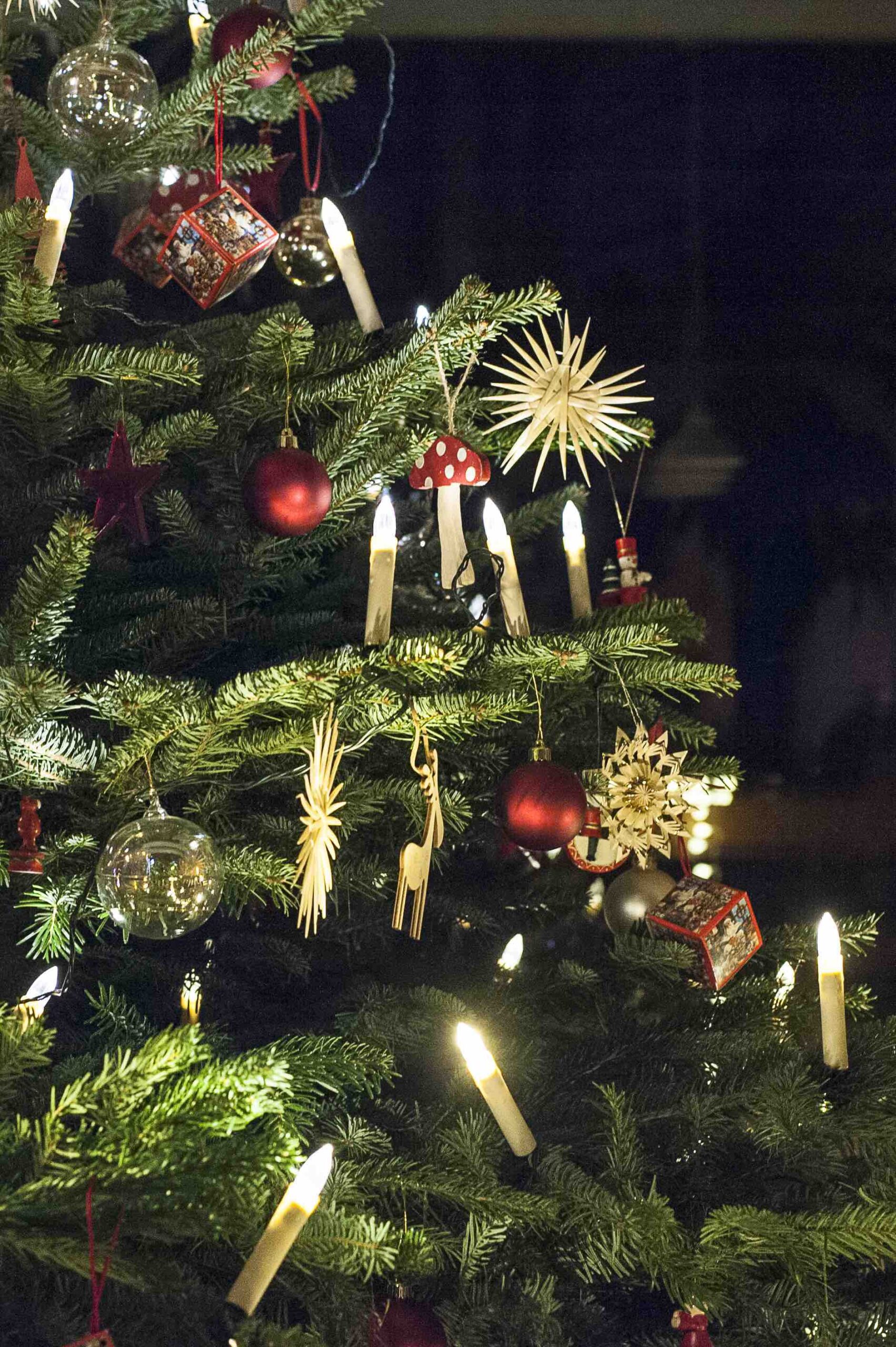 Zeitenwende. Christvesper am 24.12.